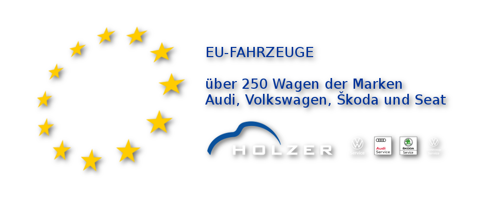 EU-Fahrzeuge - Autohaus Holzer, Stuttgart-Korntal