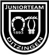 Juniorteam TSF Ditzingen bei den VW Junior Masters