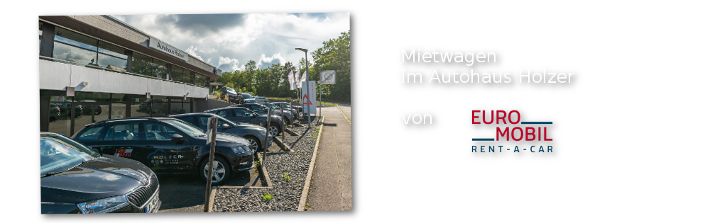 Autovermietung, Mietwagen - im Autohaus Holzer, Stuttgart-Korntal